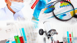 Timeline: BIOETICA (ETICA DE LA INVESTIGACION EN LOS SERES HUMANOS)