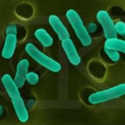 Timeline: Desarrollo de la Microbiología - Cesar Santos