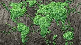 Timeline: Antecedentes de la ecología