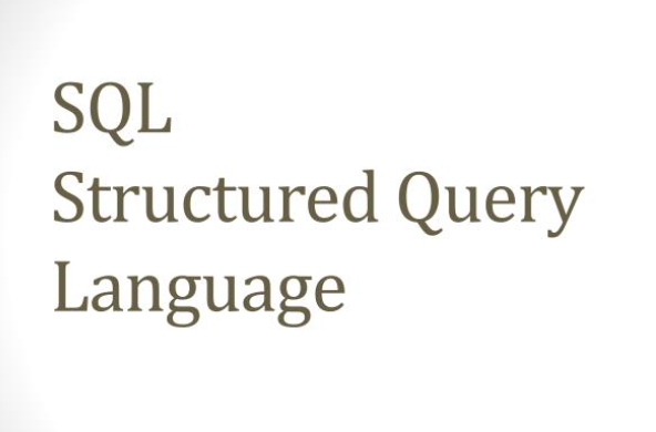 Se desarrollará el SQL (Structured Query Language)