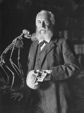 Ernst Haeckel y la "Ecología"