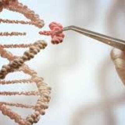 Timeline: Historia de la Bioética