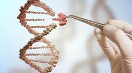 Timeline: Historia de la Bioética