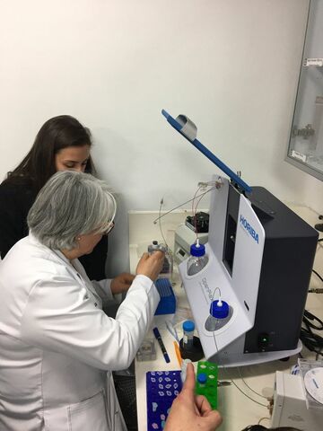 Declaración de Helsinki