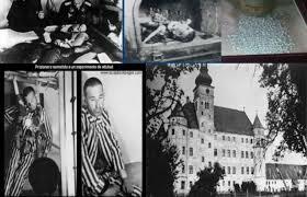 Declaración de Tokio