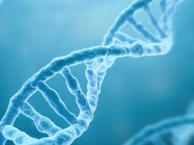 Avery, McCarty y MacLeod