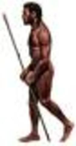 Homo Sapiens Neanderthalensis (Wise Man)