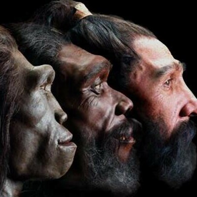 Timeline: Arbre filogenètic de l’evolució dels homínids