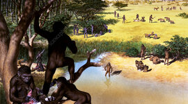 Timeline: L’HOMÍNID