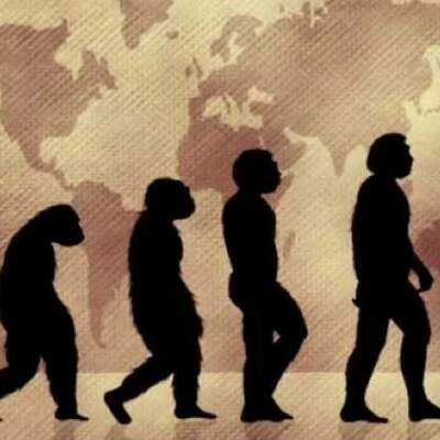 Timeline: DEL PRIMAT A L’HOMÍNID. L’ORIGEN DE LA HUMANITAT