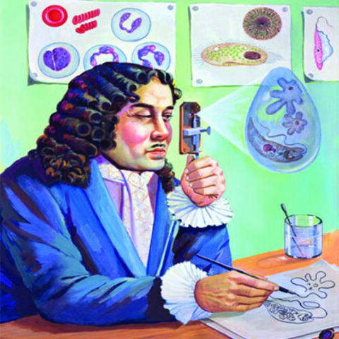 Anton van Leeuwenhoek "Padre de la microbiología"