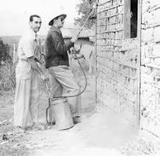 Criação do Departamento Nacional de Endemias Rurais