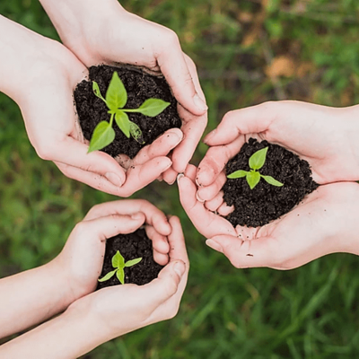 Timeline: Educacion ambiental