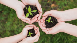 Timeline: Educacion ambiental