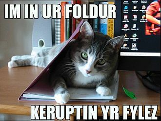 LOLcats