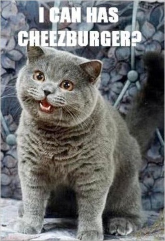 I Can Haz Cheezburger
