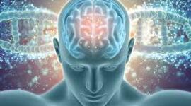 Timeline: Línea del tiempo teorías de la inteligencia