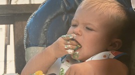 Timeline: Joshua Ethan Taylor