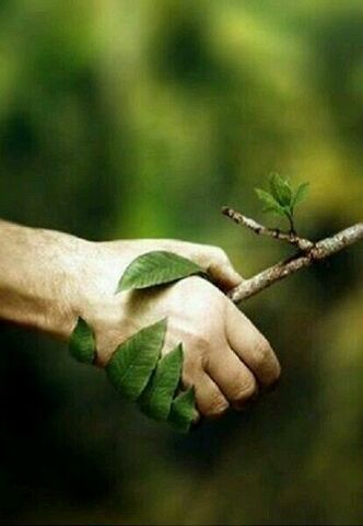 L DESARROLLO NORMATIVO EN COLOMBIA