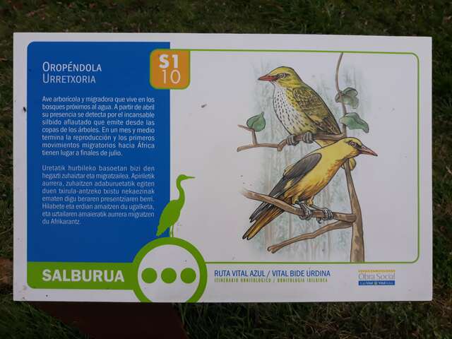 Mobiliario  asociado al proyecto Birding Euskadi