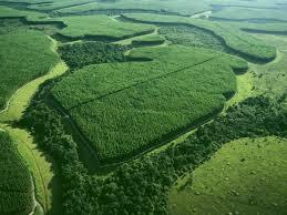CONCEPCIONES Y CORRIENTES DE LA EDUCACIÓN AMBIENTAL