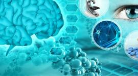 Timeline: Desde los orígenes al presente: las neurociencias de la conducta, un viaje que no se detiene