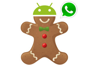 Android 2.3 – 2.3.7	(Gingerbread)