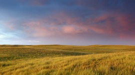 Timeline: Saskatchewan Time Scale - Earth Science 30