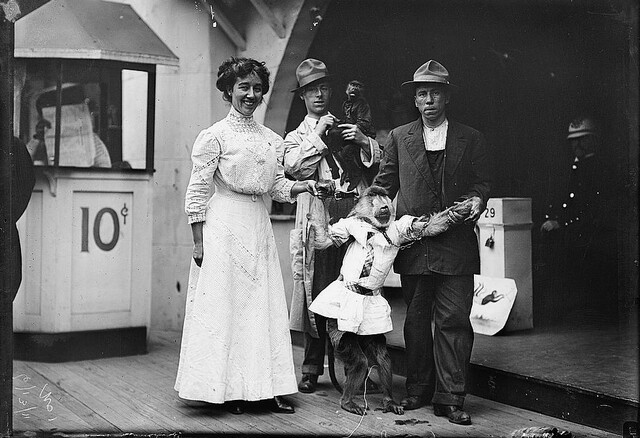 The Crime Spree of Pudding Murphy