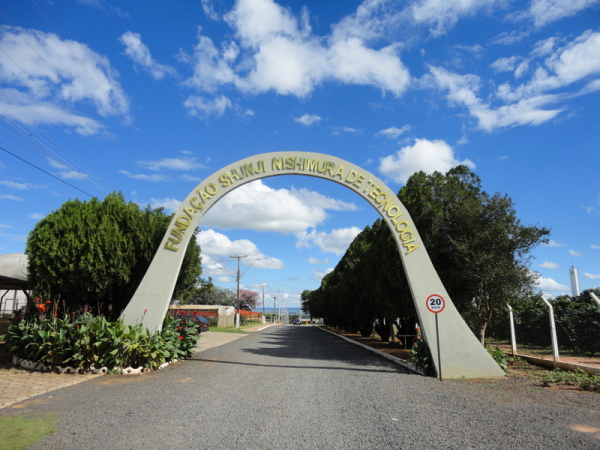 Fonte material - FSN