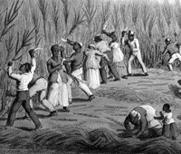 Slave Songs are Published