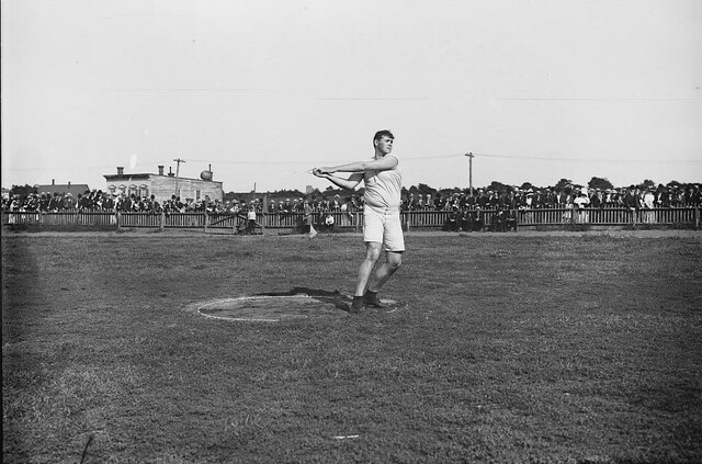 Cheating at the Fish Wild Festival