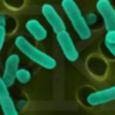 Timeline: Desarrollo de la Microbiología - Cesar D. Santos