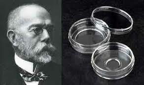 Julios Richard Petri-Plaa De Petri; invención de la placa de Petri, mientras trabajaba como asistente de Robert Koch
