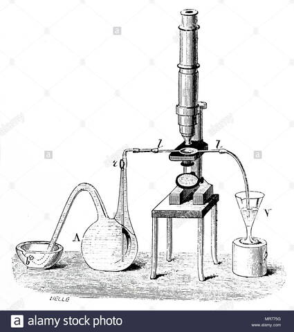 Pasteurization method