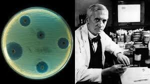 Descubrimiento de la penicilina por Alexander Fleming