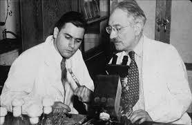 Descubrimiento de estreptomicina por Selman Waksman