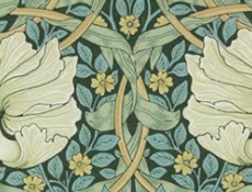 Segunda mitad del siglo XIX