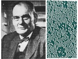 El microbiólogo estadounidense John Enders fue el primero en cultivar virus en cultivos celulares, proporcionando así un medio para la producción a gran escala de cultivos víricos para el desarrollo de vacunas