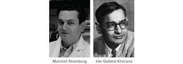 Marshall Nirenberg y H. Gobind Khorana. Descubrimiento del código genético