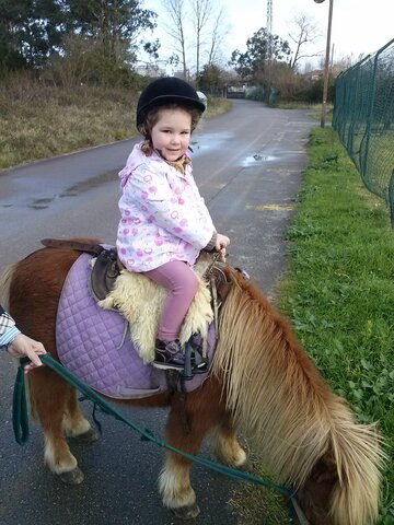 Nire lehen aldia zaldiz