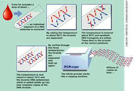 Kary Mullis. Invención de la PCR