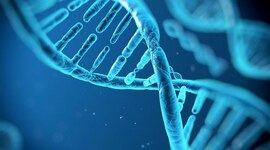 Timeline: Historia de la biología celular