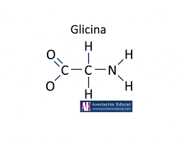 Glicina