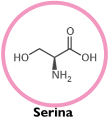 Serina
