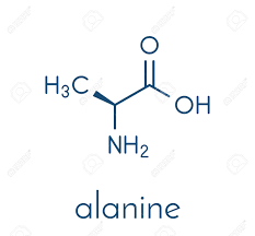 Alanina