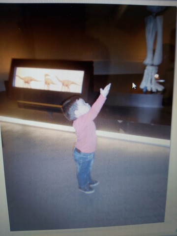 Dinosaurari txupetea eman eta gero, eskatzen nion.