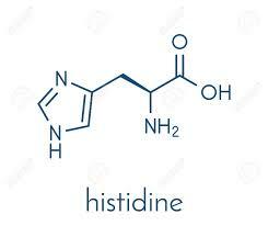 Histidina