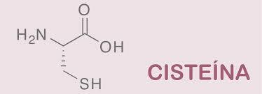 Cisteína