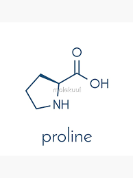 Prolina